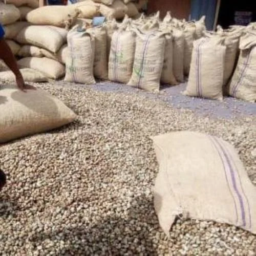 The Health Benefits of Cashew Nuts: A Superfood for All